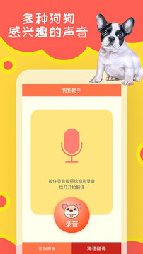 狗狗助手