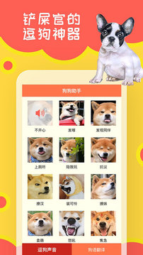 狗狗助手
