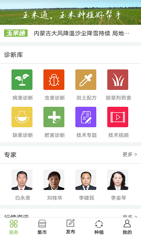 玉米通